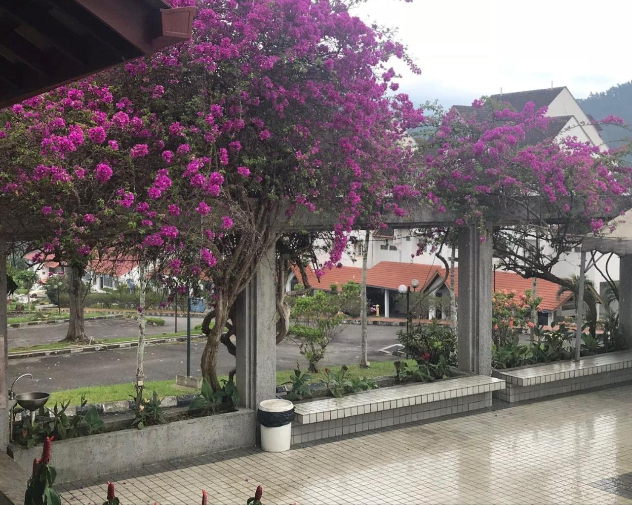 Thatniceplace In Selesa Hillhome, Bukit Tinggi, Bentong, Genting Ngoại thất bức ảnh
